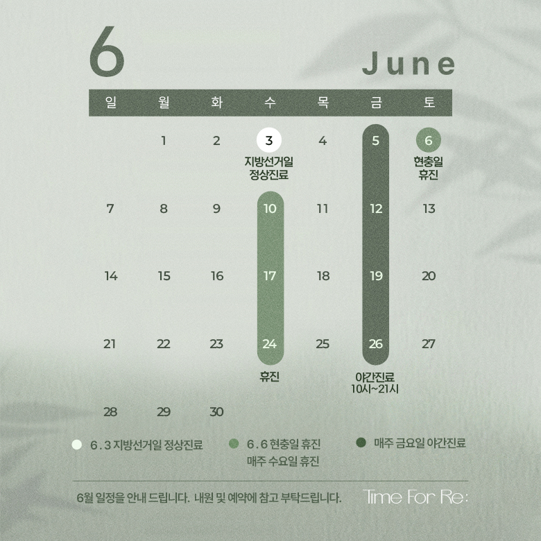 6월 진료일정